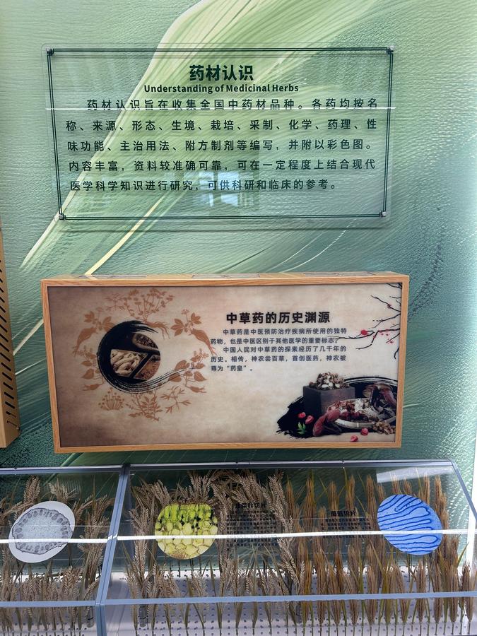 A-202405-奇妙的植物-展項照片4.JPG