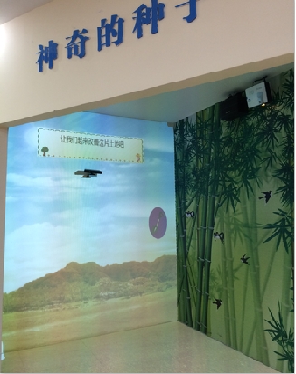 神奇的種子.jpeg
