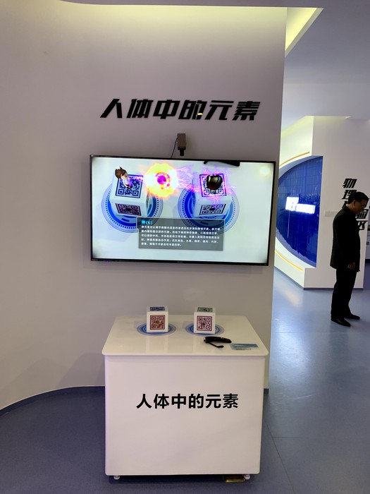 人體中的元素.jpg