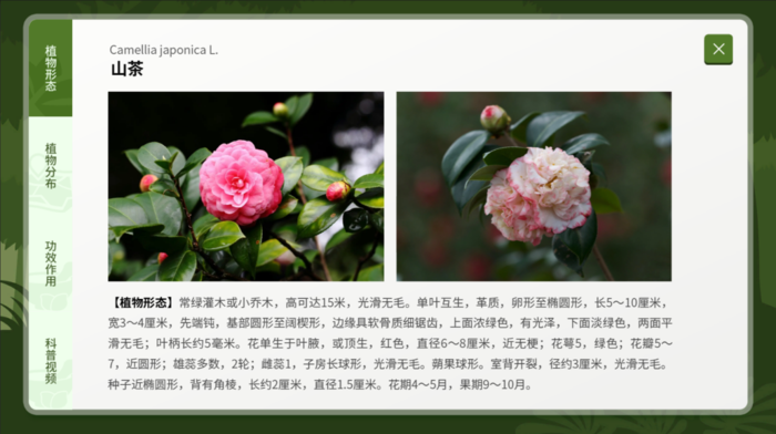 J-202403-植物標本墻-軟件截圖3.png