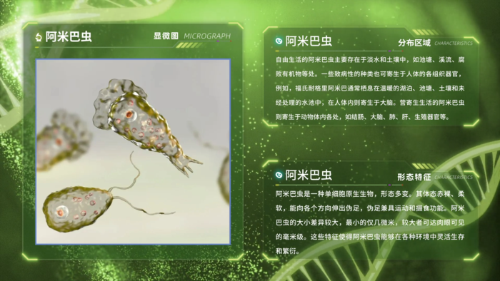 A-202401-奇妙的微生物-軟件截圖5.jpg