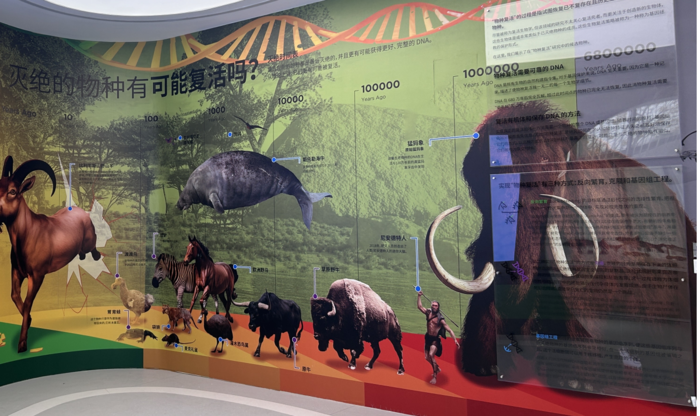 D-202411-生命起源-展項照片5.jpg